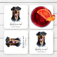 Drinks On Me! Rottweiler Dog Pet Wedding