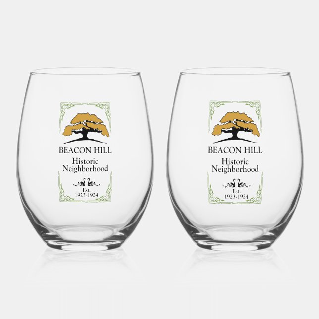 Drinkware Set Stemless Wine Glass (Front)