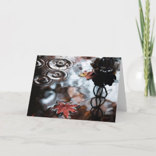 Drip Drip Card