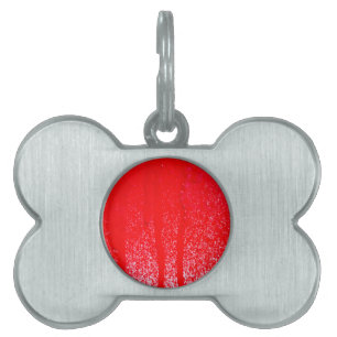 dripping blood pet tag