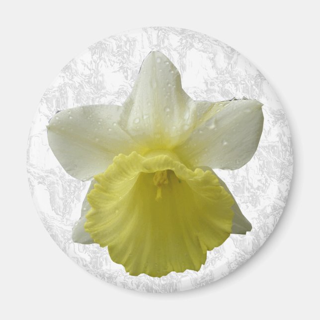 Dripping Daffodil Magnet (Front)