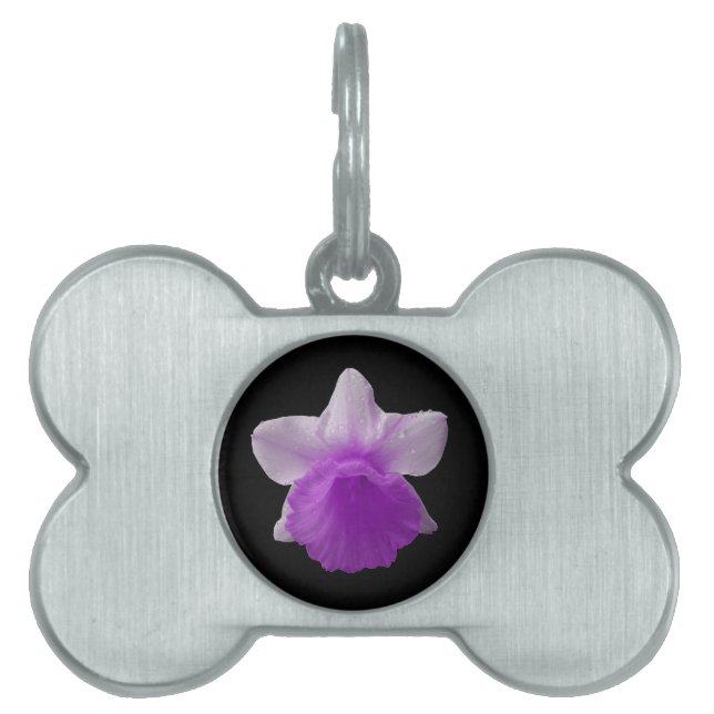 Dripping Daffodil Purple Pet Tag (Front)