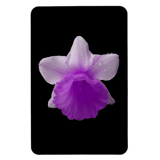 Dripping Daffodil Purple Premium Magnet (Vertical)