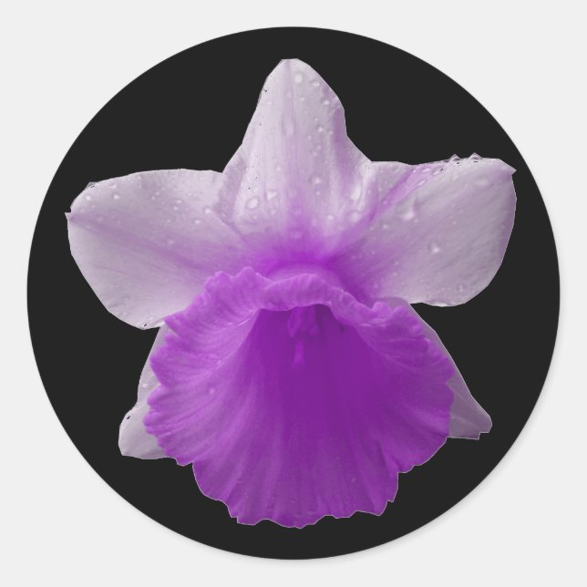 Dripping Daffodil Purple Sticker (Front)