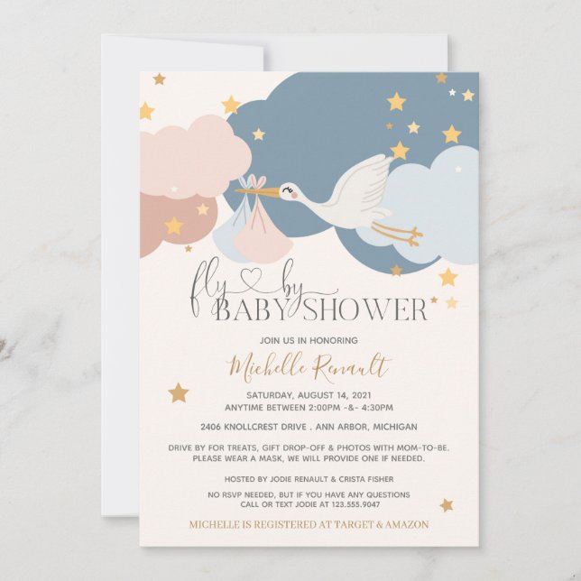 Drive By "Fly By" Stork Boy Girl Twins Baby Shower Invitation (Front)