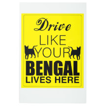 Drive Like Your Bengal Lives Here
