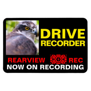 DRIVE RECORDER Warning Plate(Northern Goshawk) Magnet