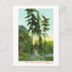 Driveway View at Woodland Park Postcard