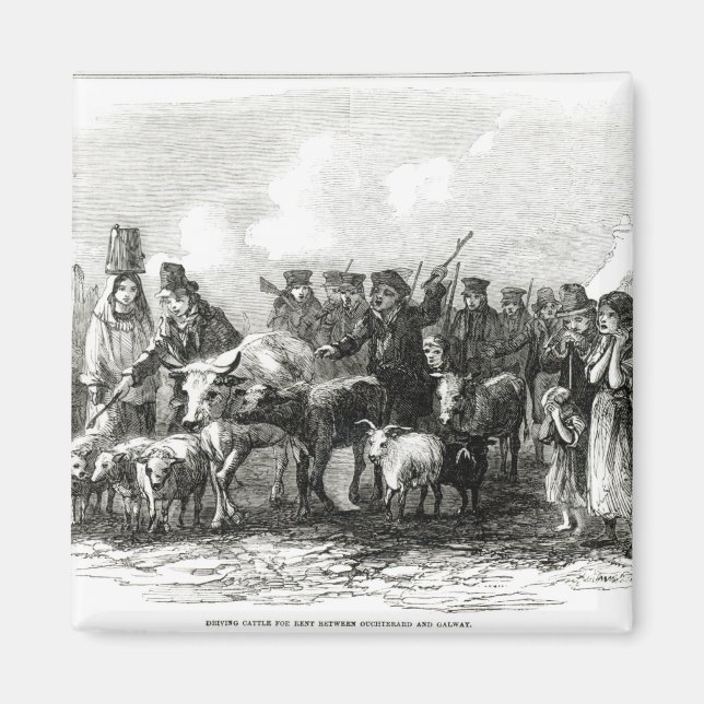 Driving Cattle for Rent Magnet (Front)