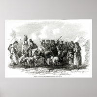 Driving Cattle for Rent