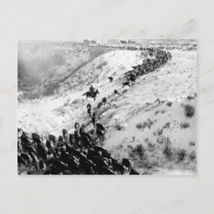 Driving cattle in the winter. postcard