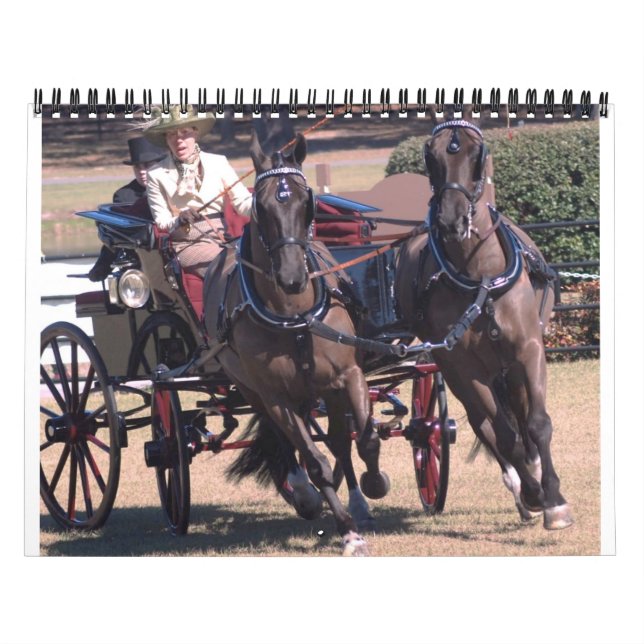 driving horses calendar (Cover)