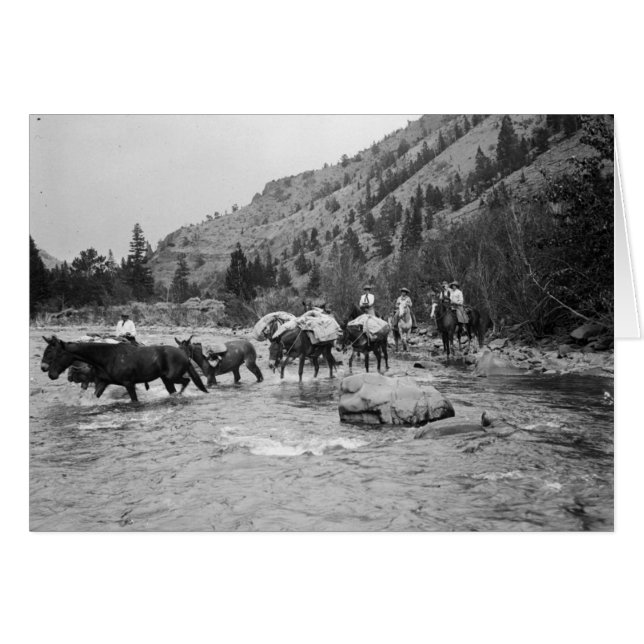 Driving pack mules across a river (Front Horizontal)