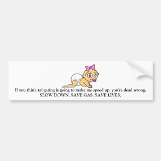 Driving Safety bumper sticker