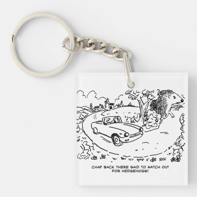 Driving Sports Car in Countryside with Hedgehog Key Ring (Front)