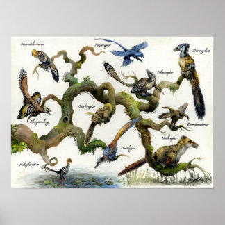 Dromaeosaur Family Tree Print