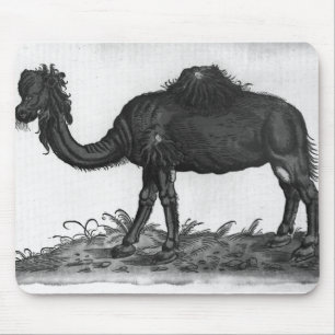 Dromedary, from 'Historial Animalium' Mouse Mat