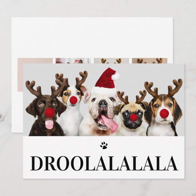 Droolalala Dog Christmas 5 Photo Card (Front/Back)