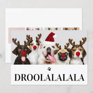 Droolalala Dog Christmas 5 Photo Card