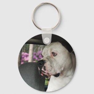 drooling American Bulldog Key Ring
