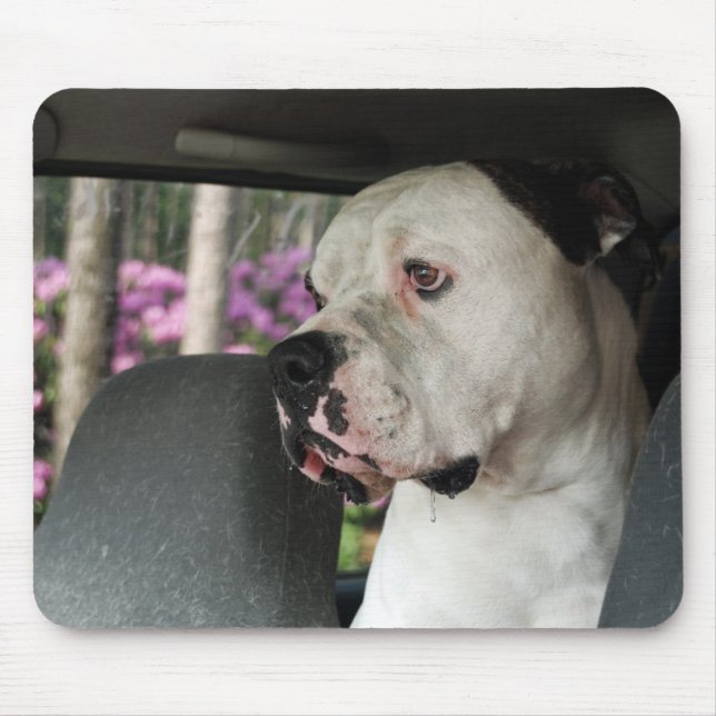 drooling American Bulldog Mouse Mat (Front)