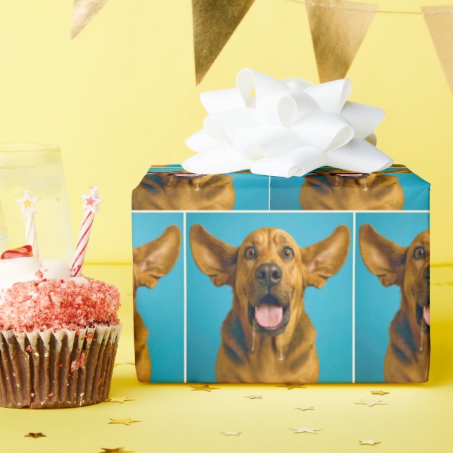 Drooling Bloodhound With Surprised Expression Wrapping Paper (Birthday Party)