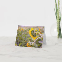 Drooping Sunflower Folded Thank You Card