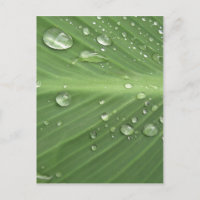 Drop by Drop