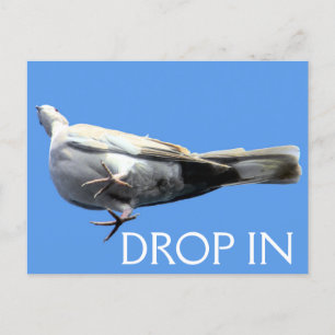 Drop In Postcard - SRF