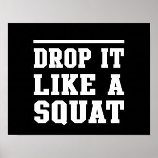Drop it Like a Squat Poster
