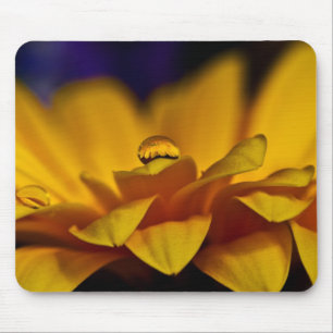 Drop of Water with Reflection of Gerbera Daisy Mouse Mat