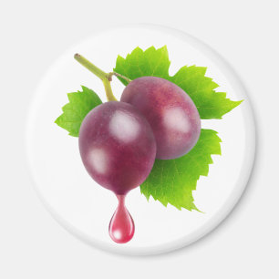 Drop of wine magnet