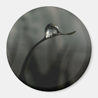 droplet magnet