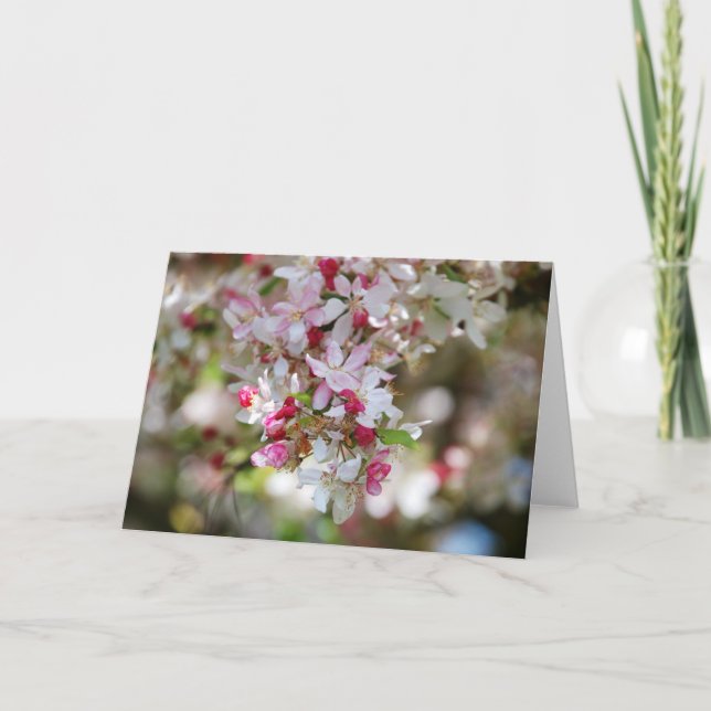 droplet of beauty blank card (Front)