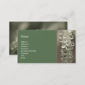 Droplets Business Card (Front/Back)