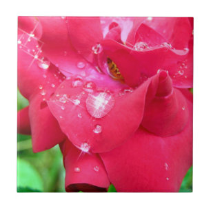 Droplets on Petals Ceramic Photo Tile