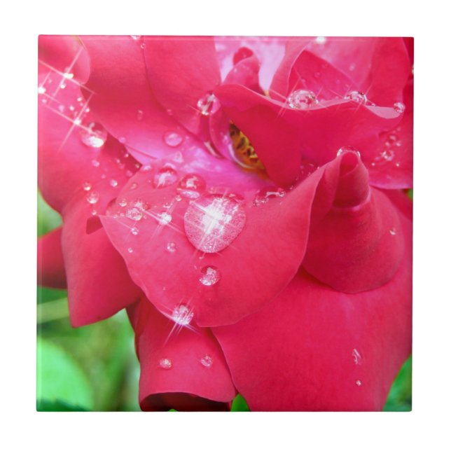 Droplets on Petals Ceramic Photo Tile (Front)