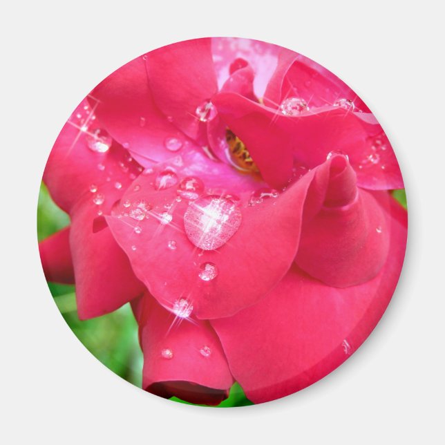 Droplets on Petals Fridge Magnet (Front)