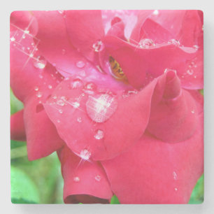 Droplets on Petals Stone Coaster
