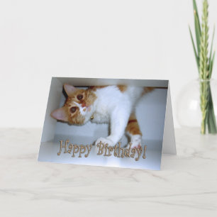 Dropping In Kitty - Happy Birthday! Card