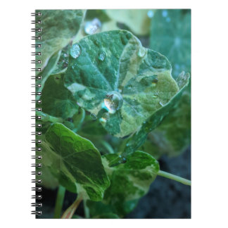 Drops of Nature Notebook