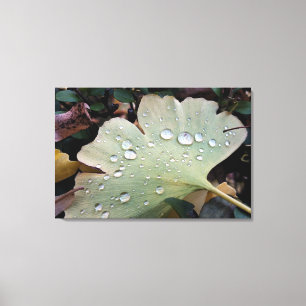 Drops of rain canvas print