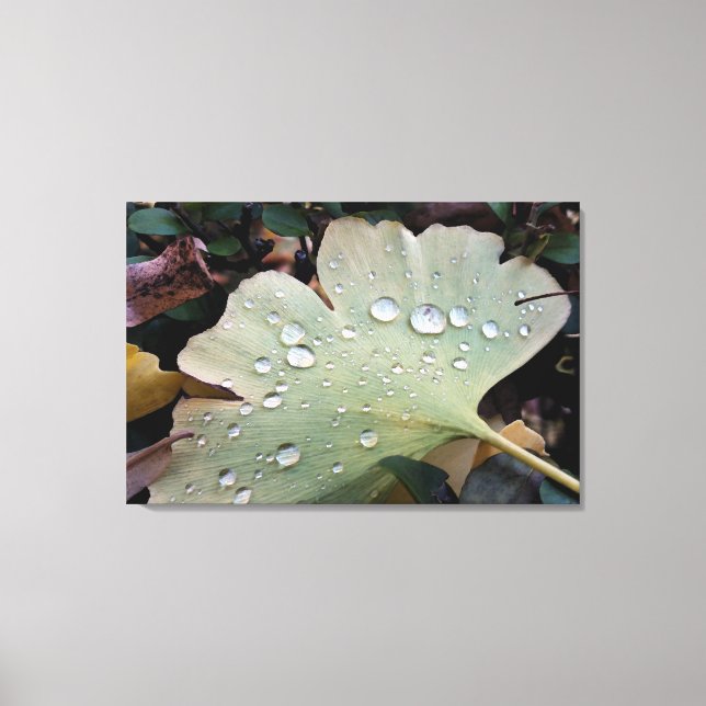 Drops of rain canvas print (Front)