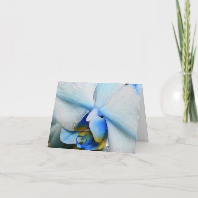Drops on Blue Orchid Card (Front)