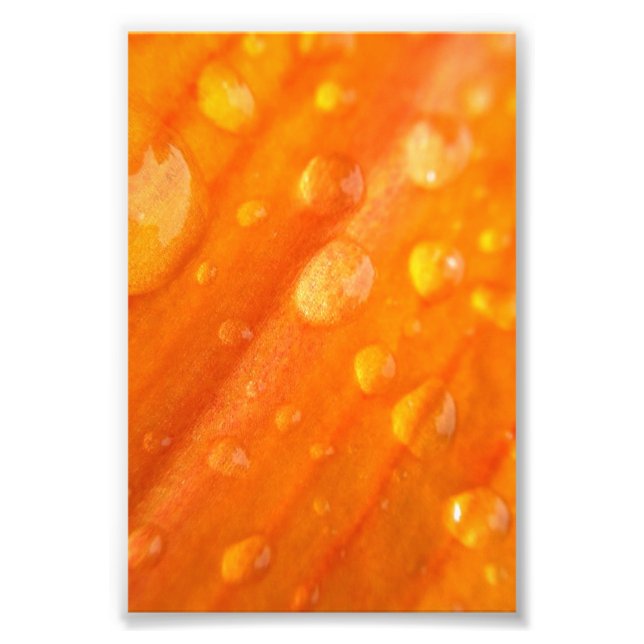 Drops On Bright Orange Flower Photo Print (Front)