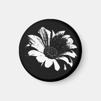 Drops on Daisy Magnet