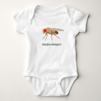 Drosophila Baby Bodysuit