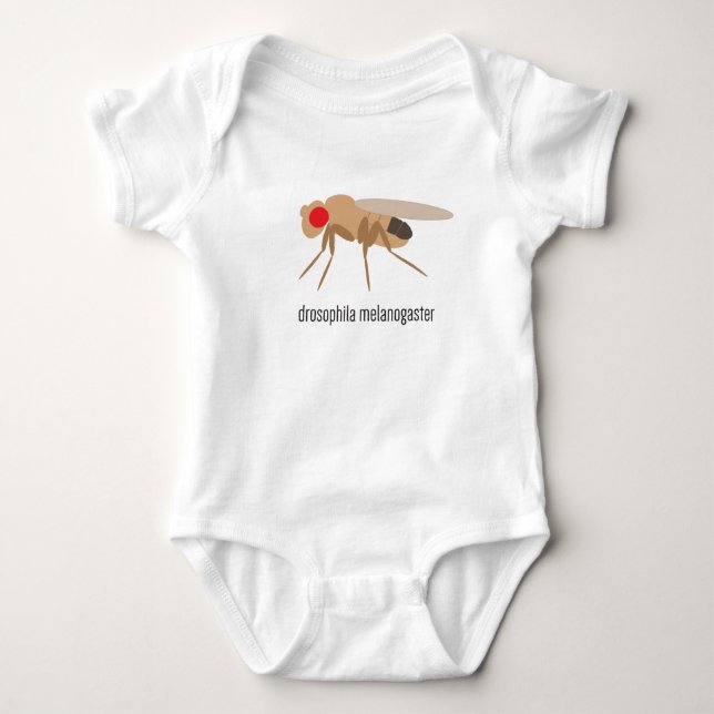 Drosophila Baby Bodysuit (Front)