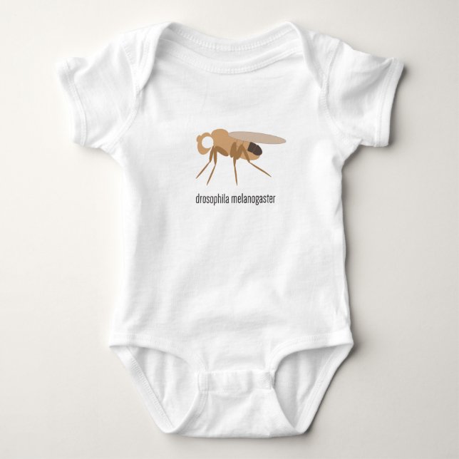 Drosophila Baby Bodysuit (white eye) (Front)