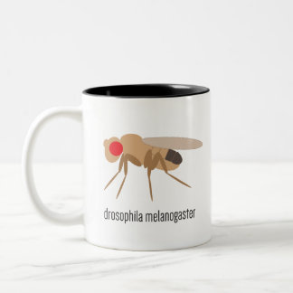 Drosophila Coffee Mug